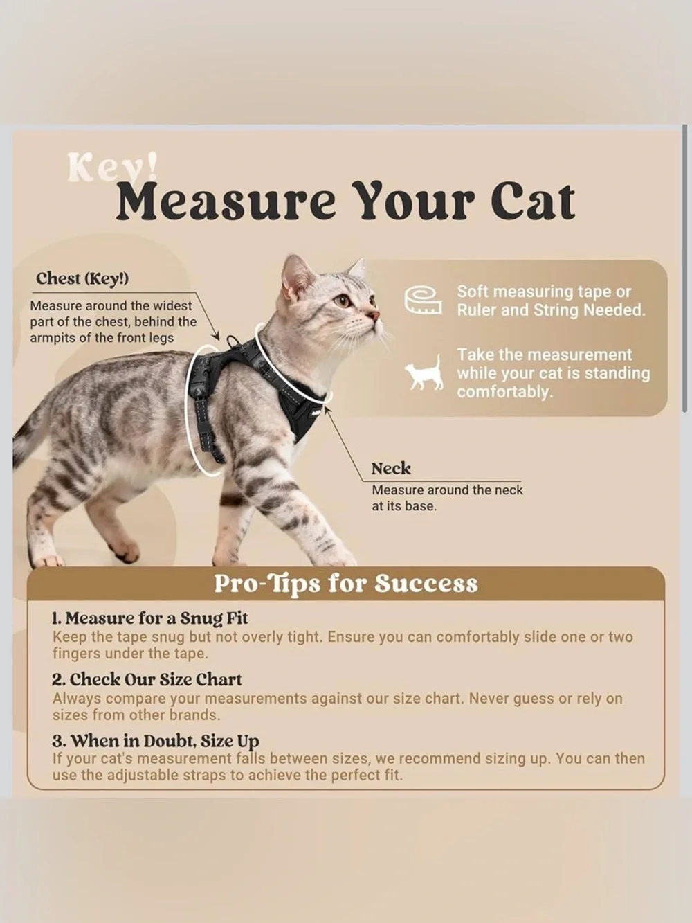 Rabbitgoo cat harness